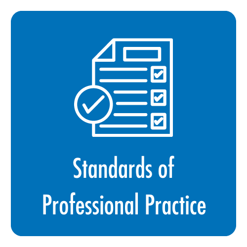 Standards of professional practice icon 