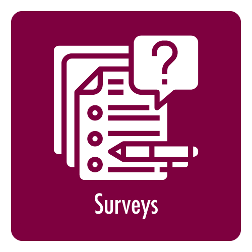 Surveys icon 